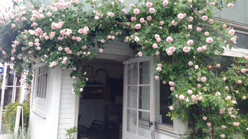 �h�[�h�[�i�c